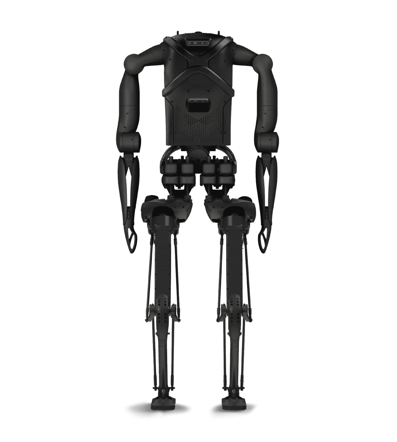 PAL Robotics KANGAROO 