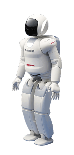 Temi Bot-237