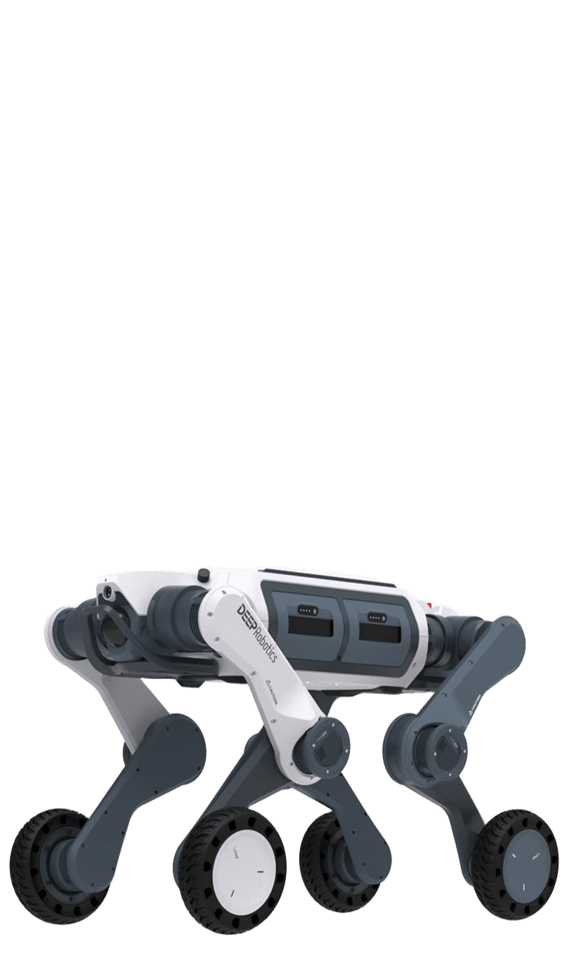 DEEP Robotics Lynx M20